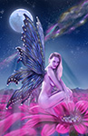 Moonbeam Butterfly Fantasy Illustration with Sarah Elizabeth Bowers by Mark Greenawalt