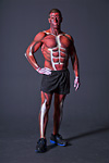 Mr. Anatomy at the Arizona Body Worlds Exhibition