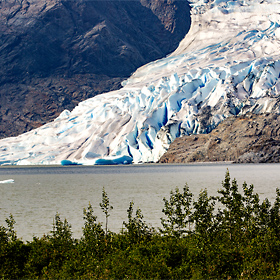 Mendenhall Glacier in Jueau, Alaska