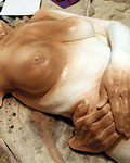 Janet Jackson Superbowl Body Painting