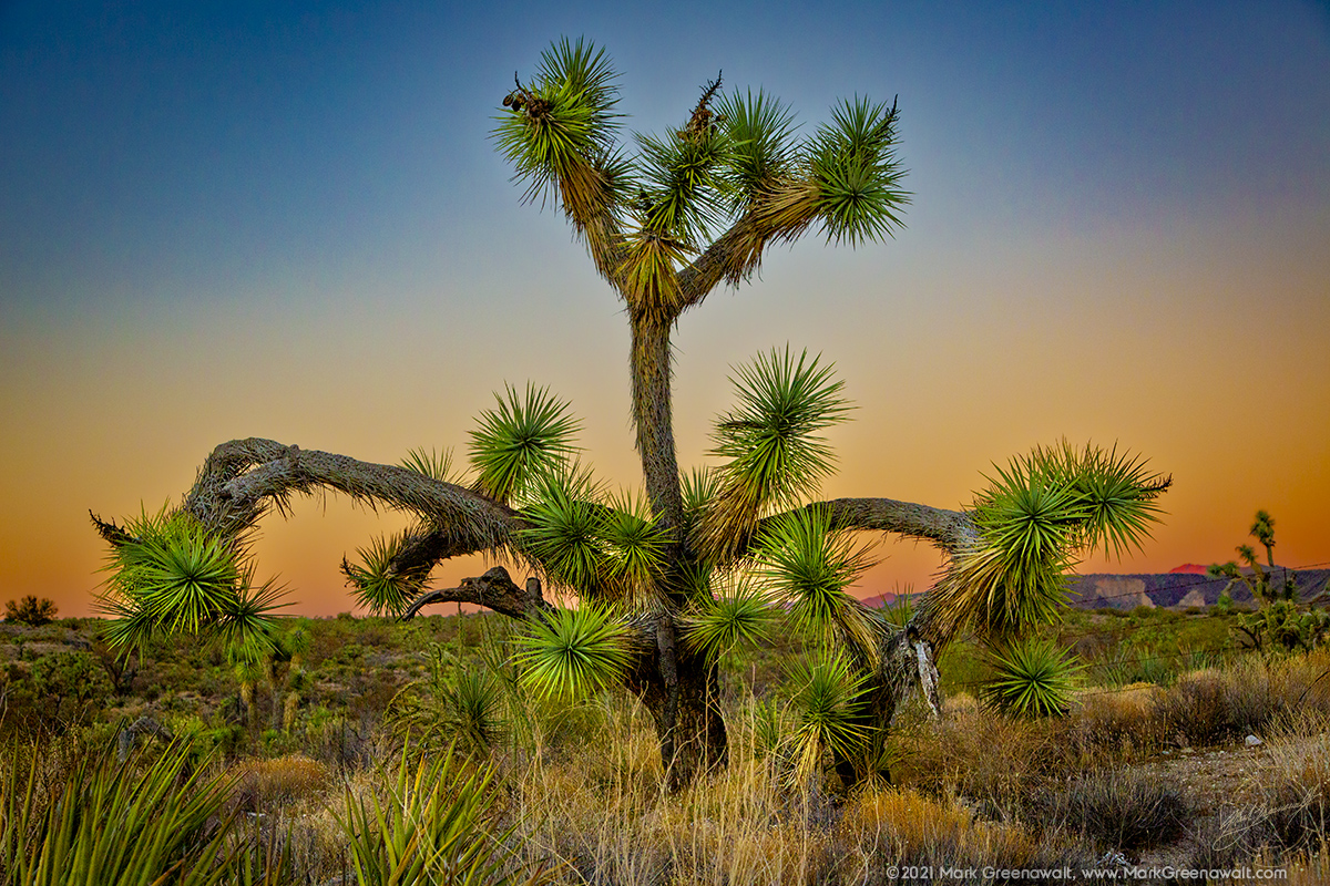 Hi, My Name Is JoshuaFeatured Image