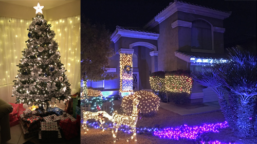 Christmas lights at the Greenawalt residence in 2020.