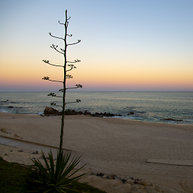 Looking east at sunset from the beach in Cabo San Lucas, Mexico.