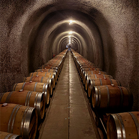 Sonoma 