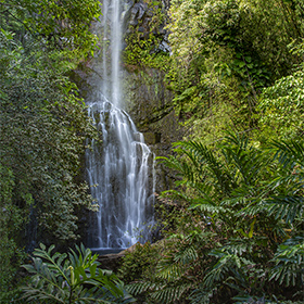 Wailua Falls on the road to Hana in Maui, Hawaii. Photo by Mark Greenawalt